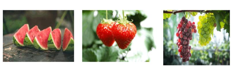 The use environment of plant growth regulators
