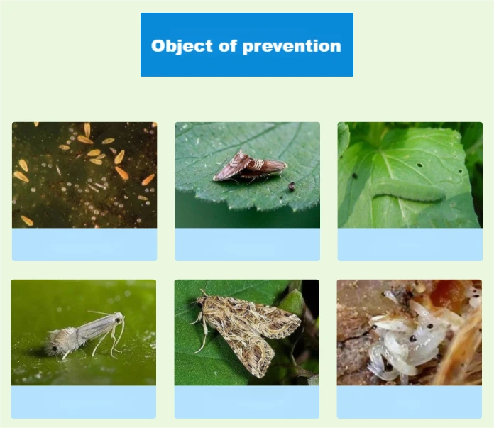 Control objects of lufenuron