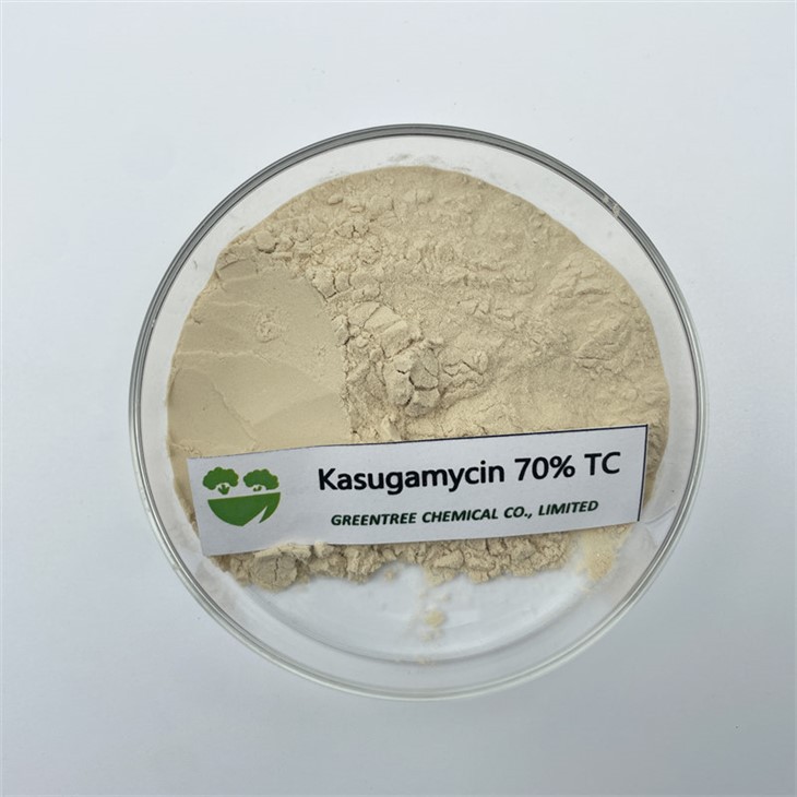 Cemegau Amaethyddol Ffwngleiddiad Kasugamycin 70% Tc Powdwr Technegol