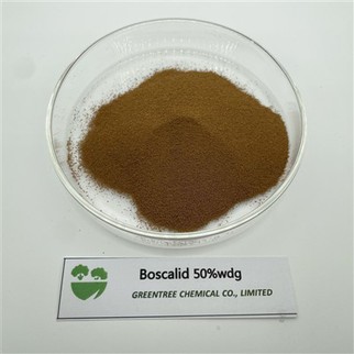 CAS 188425-85-6 Boscalid 50% WDG Fungicide Bactericide