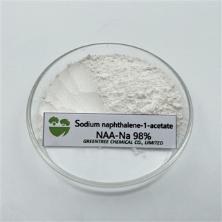 RHIF CAS. 61-31-4 98 % NA-NAA 98% 1-Halen Sodiwm Asid Naphthaleneacetig Auxin Alpha