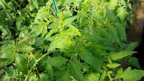 info-640-360 info-640-360