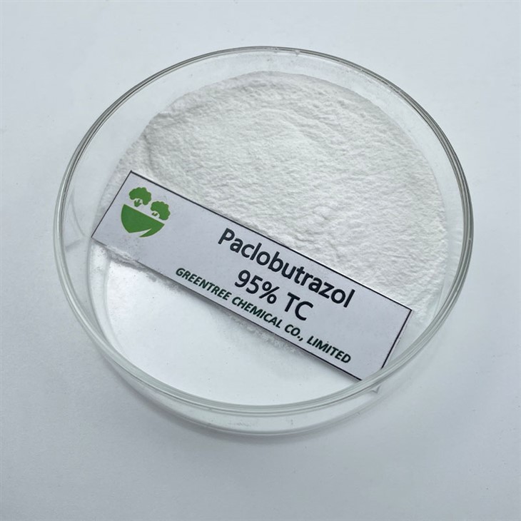 C15H20ClNO3 Paclobutrazol 95% Tc Pgr Ar gyfer Gordyfiant Rheoli